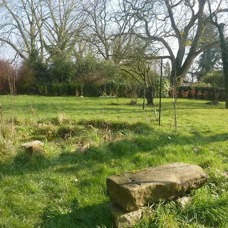 Des Demoiselles * Beauval