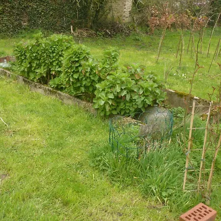 Des Demoiselles * Beauval